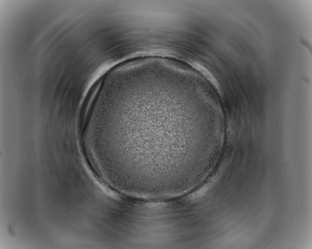 X0000097790989200803141825