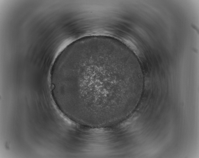X0000097790990200803141825