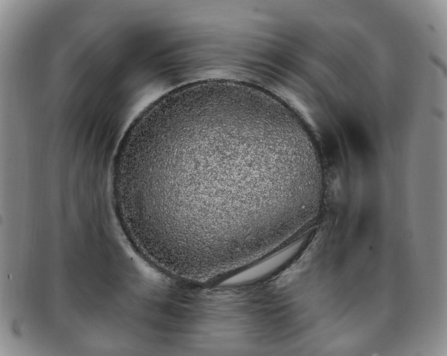 X0000097790991200803141825