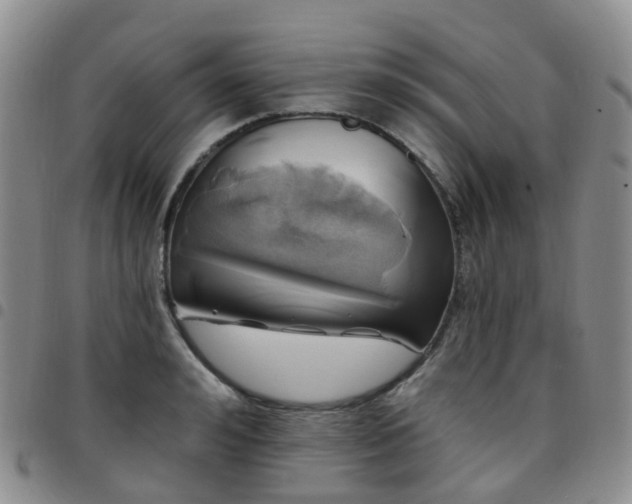 X0000097790992200803141825