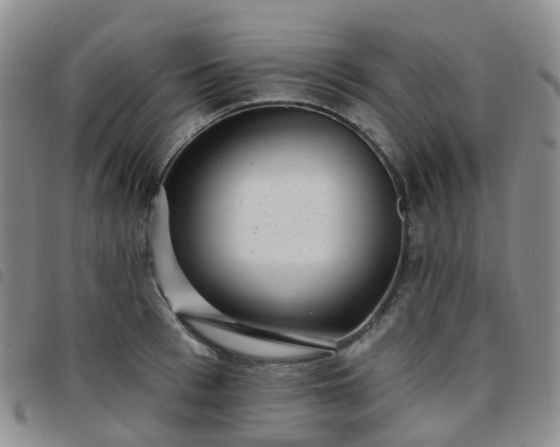 X0000097790993200803141825