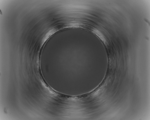 X0000097790994200803141825