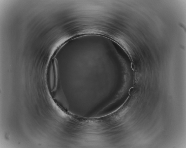 X0000097790995200803141825