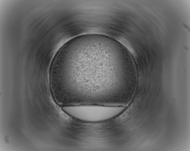 X0000097790996200803141825