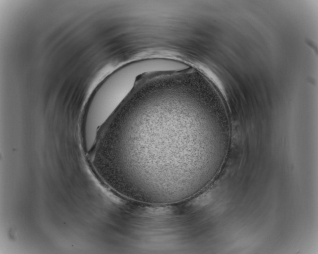 X0000097790997200803141825