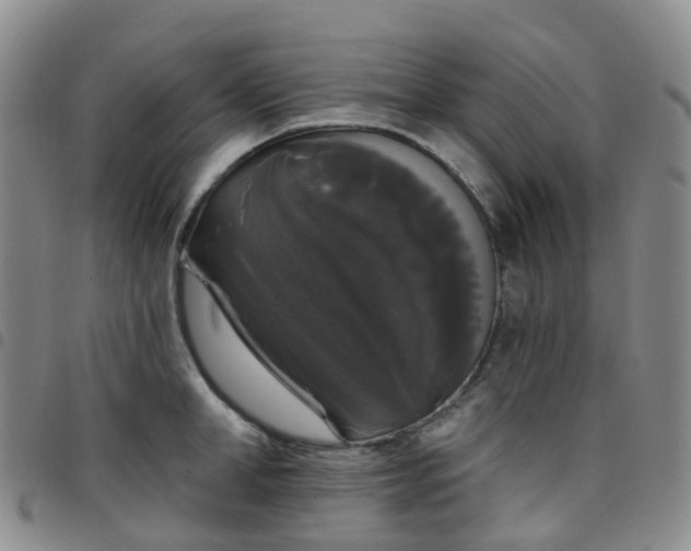 X0000097790998200803141825