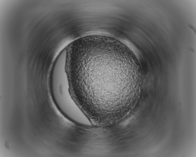 X0000097790999200803141825