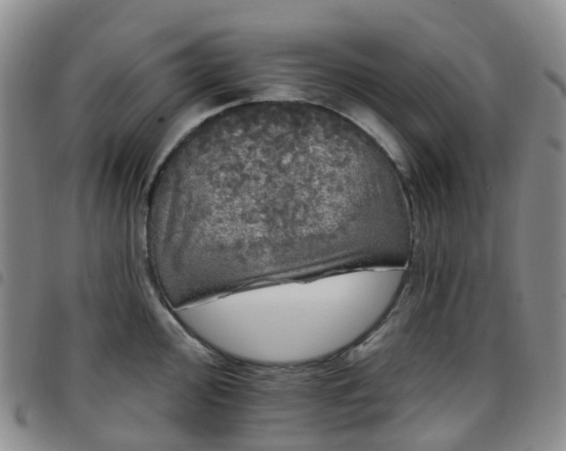 X0000097791000200803141825