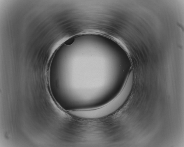 X0000097791003200803141825