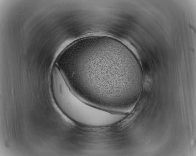 X0000097791005200803141825
