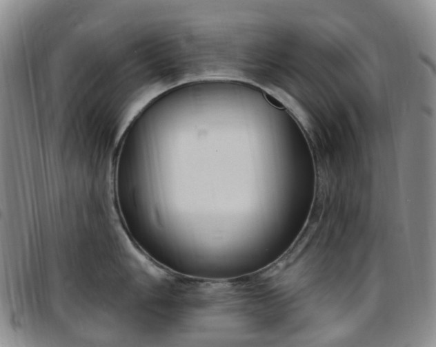 X0000097791006200803141825