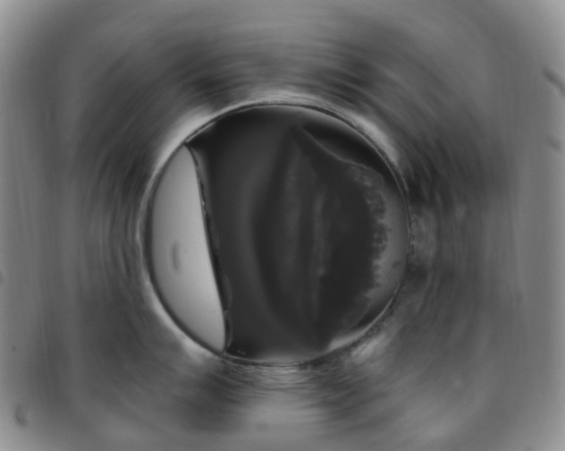 X0000097791007200803141825