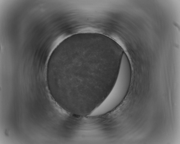 X0000097791008200803141825