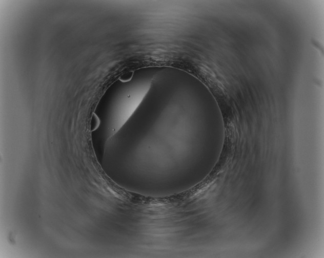 X0000097791009200803141824