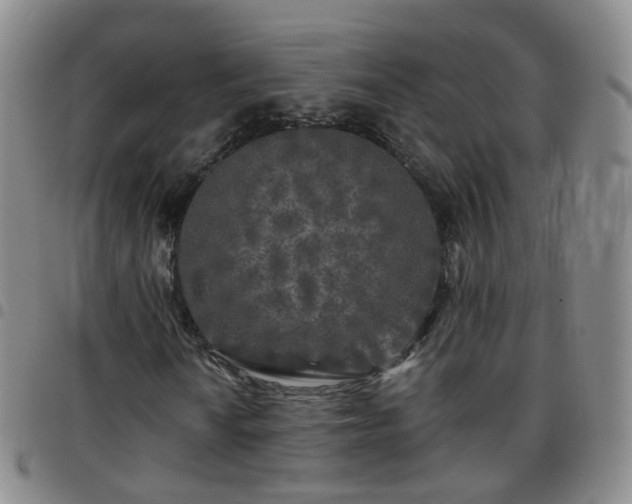 X0000097791010200803141824