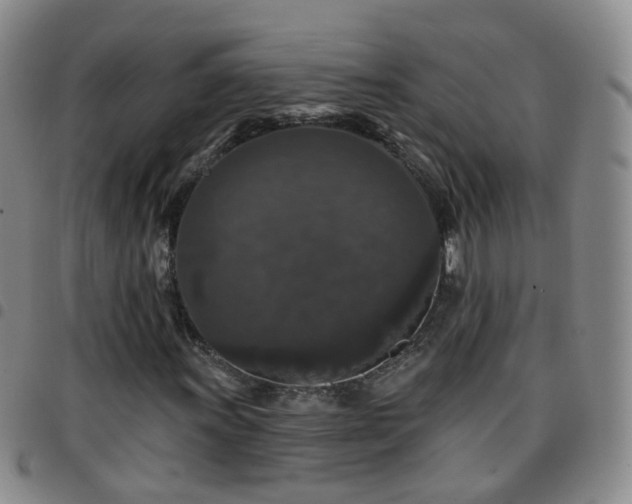 X0000097791011200803141824