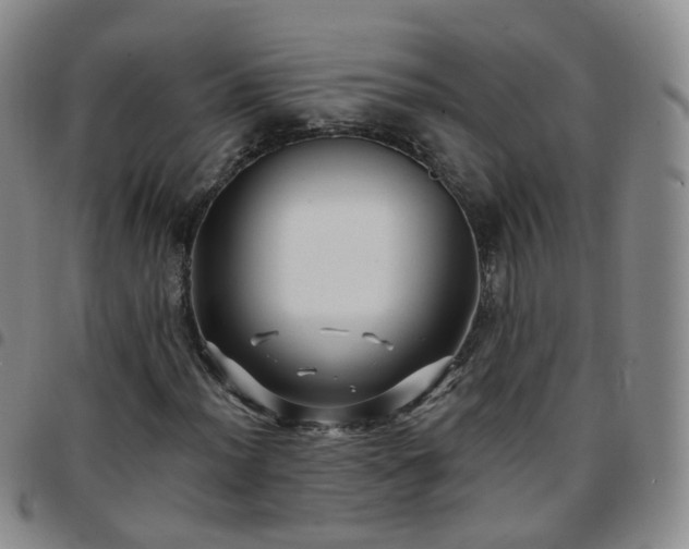 X0000097791012200803141824