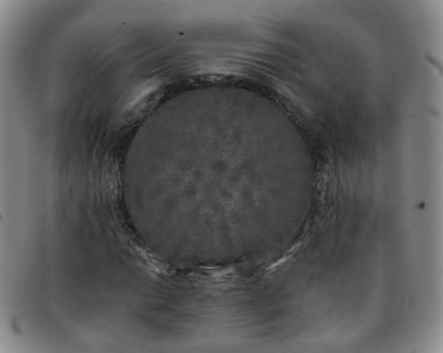 X0000097791014200803141824