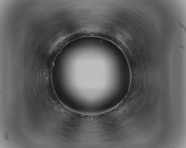 X0000097791016200803141824