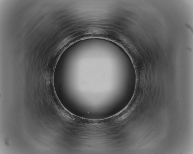 X0000097791017200803141824