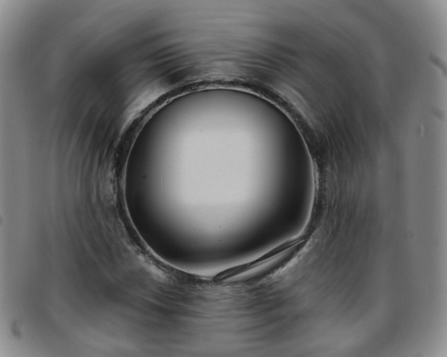 X0000097791018200803141824