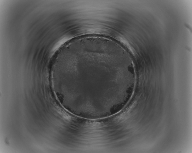 X0000097791019200803141824