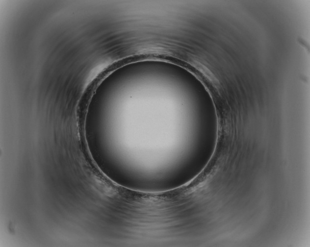 X0000097791022200803141824