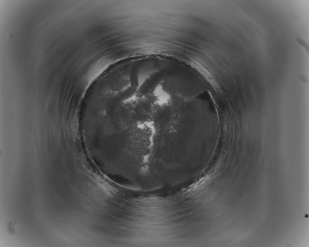 X0000097791023200803141824