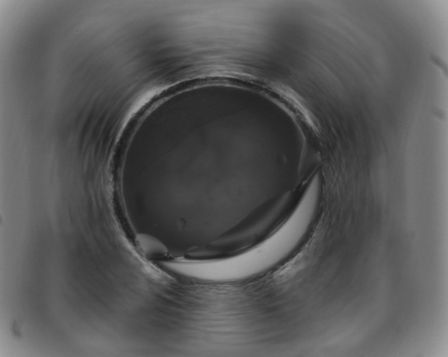 X0000097791024200803141824