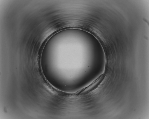 X0000097791026200803141824