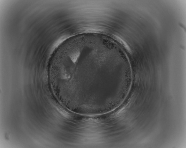 X0000097791027200803141824