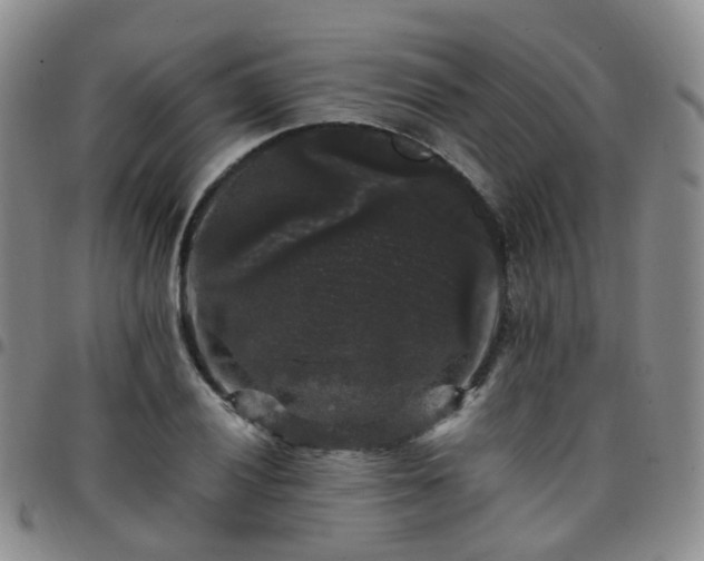X0000097791028200803141824