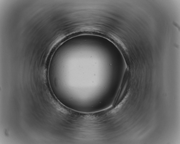 X0000097791029200803141824