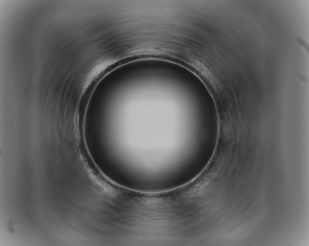 X0000097791030200803141824