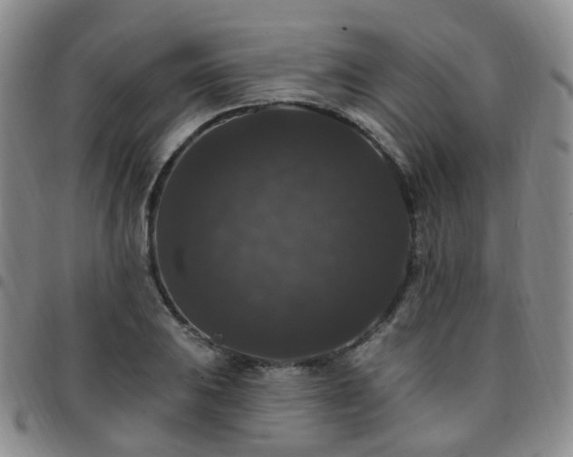 X0000097791031200803141824