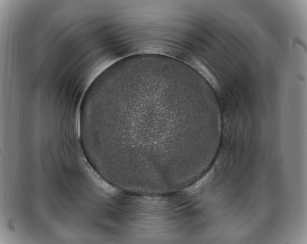 X0000097791036200803141824