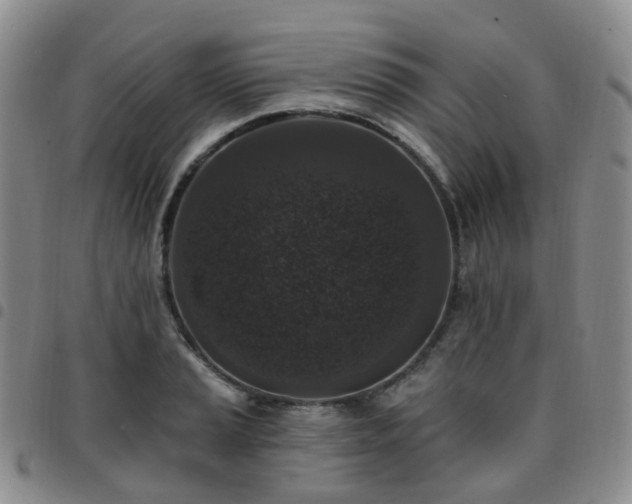 X0000097791037200803141824