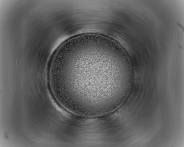 X0000097791038200803141824