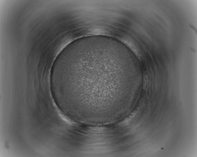 X0000097791039200803141824
