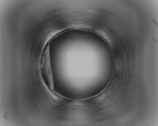 X0000097791040200803141824