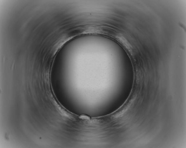 X0000097791041200803141824