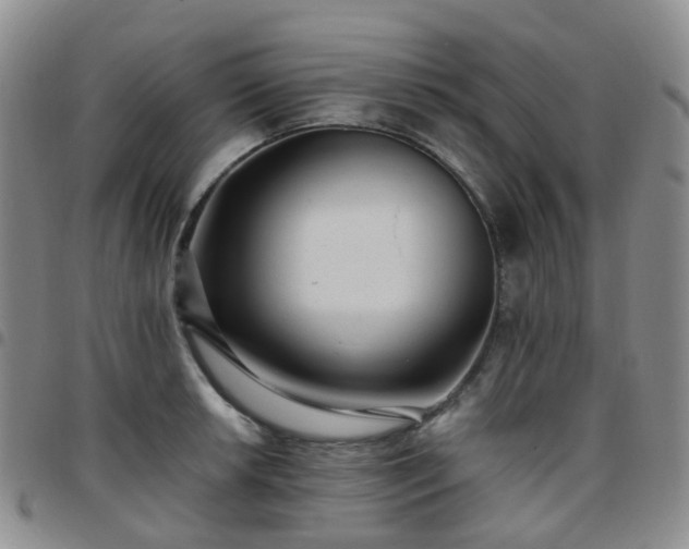 X0000097791042200803141824