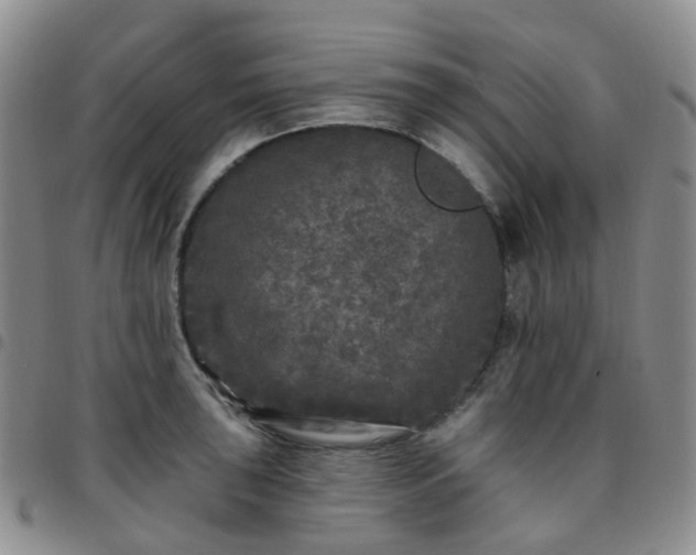 X0000097791043200803141825