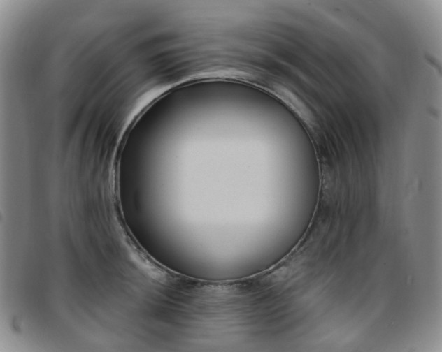 X0000097791044200803141825