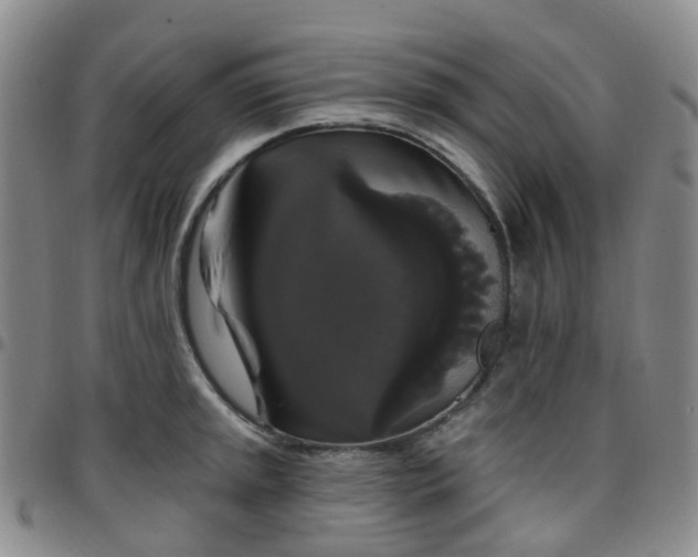 X0000097791045200803141825