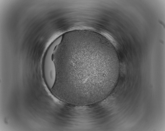 X0000097791046200803141825