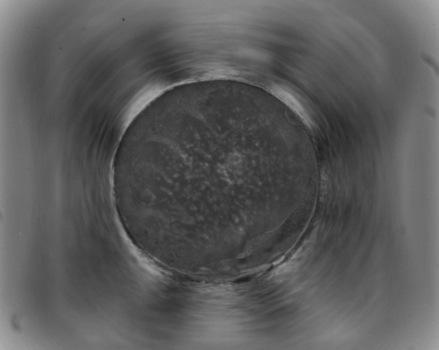 X0000097791047200803141825