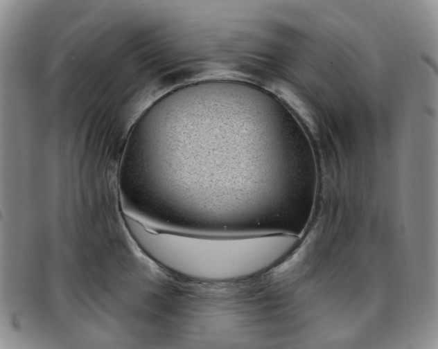 X0000097791049200803141825