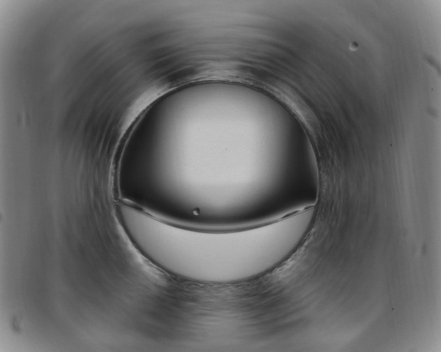 X0000097791050200803141825