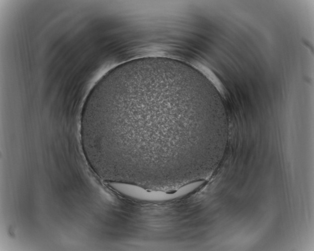 X0000097791051200803141825